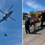 hiker-rescued-after-left-in-critical-condition-for-being-stung-by-bees-over-100-times-in-arizona