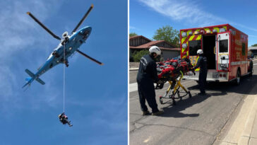 hiker-rescued-after-left-in-critical-condition-for-being-stung-by-bees-over-100-times-in-arizona