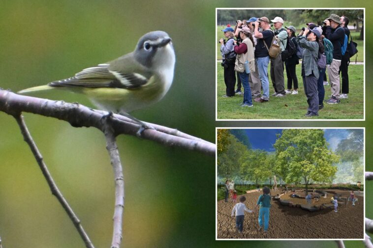 nyc-park-project-could-push-local-‘extinction’-of-birds:-critics