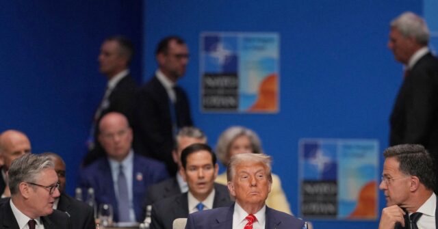 top-republicans-rally-around-trump,-question-point-of-‘feckless’-and-‘weak’-nato-allies