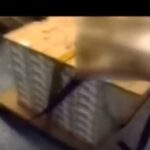 saudi-prince-reveals-obama-gave-iranian-regime-$150-billion-–-and-iran-did-not-build-a-single-street