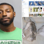 rock-headed-bozo-steals-$11k-geodes-from-arts-center-in-ritzy-rye-—-then-tries-to-sell-them-to-cop:-report