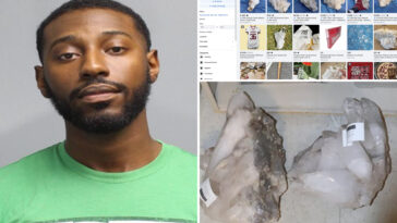 rock-headed-bozo-steals-$11k-geodes-from-arts-center-in-ritzy-rye-—-then-tries-to-sell-them-to-cop:-report