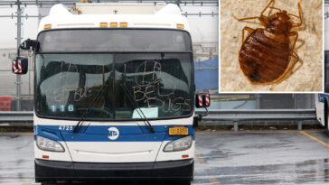 nys-bill-would-force-mta-to-tell-riders-about-bed-bug-infestations