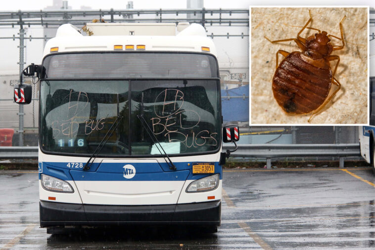 nys-bill-would-force-mta-to-tell-riders-about-bed-bug-infestations