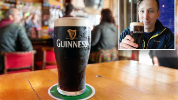 how-an-irish-genius-drove-down-the-price-of-guinness-using-ai-modeled-after-reality-tv-winner