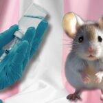 19-gop-lawmakers-demand-nih-defund-transgender-animal-experiments-after-white-coat-waste-exposes-disturbing-new-$584k-taxpayer-grant