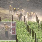 horrifying-wildfire-seen-ripping-toward-stunning-socal-winery-—-cops-say-it-was-lit-on-purpose