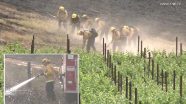 horrifying-wildfire-seen-ripping-toward-stunning-socal-winery-—-cops-say-it-was-lit-on-purpose