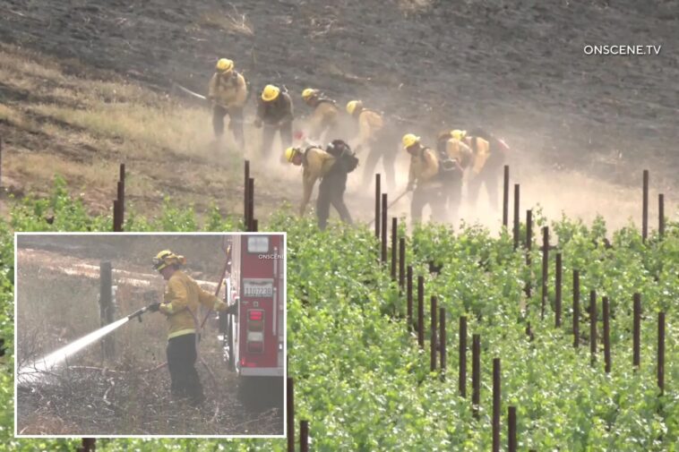 horrifying-wildfire-seen-ripping-toward-stunning-socal-winery-—-cops-say-it-was-lit-on-purpose