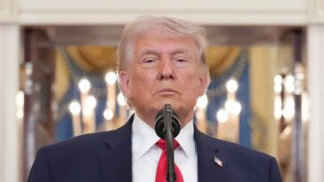 trump-reveals-botched-attempt-to-send-guns-to-the-iranian-people:-‘i’m-very-upset’