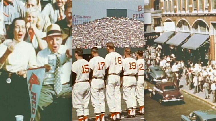 this-viral-video-shows-what-we’ve-lost-—-and-it’s-devastating