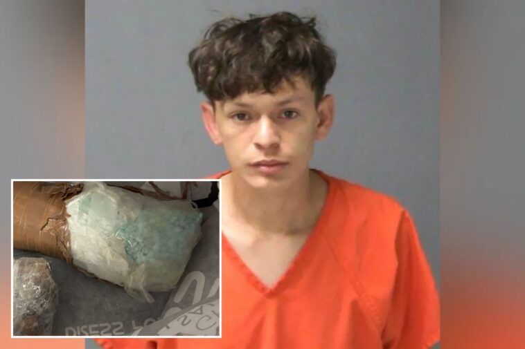 suspect-in-ice-custody-after-fentanyl,-cocaine-hits-deputy-in-face