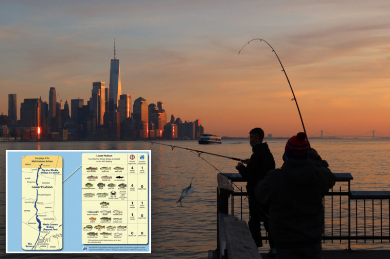 holy-carp!-state-says-hudson-river-fish-is-safe-to-eat-after-50-years-—-but-new-yorkers-aren’t-biting