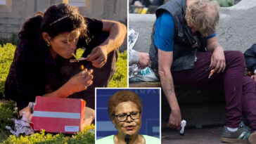 gavin-newsom’s-nemesis-demands-strict-new-test-for-homeless-—-as-la-burns-$300m-on-doomed-program