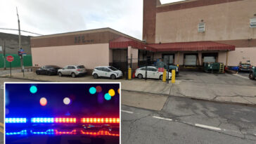 nyc-parks-worker-rear-ended-strangers-who-tried-to-steal-mirrors-off-car:-cops