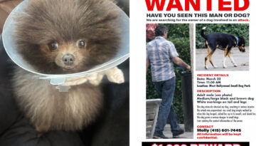 small-pup-mauled-in-horrific-attack-at-west-hollywood-dog-park,-owner-launches-safety-petition-as-search-for-attacker-continues