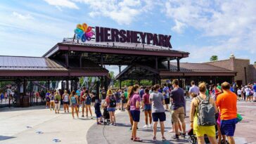 ‘unsupervised’-child-at-hersheypark-zoo-injured-by-wolf-after-crawling-under-safety-barrier