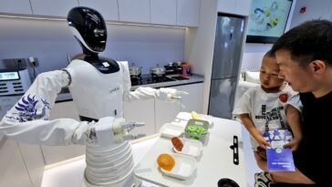 home-robot-cooks,-cleans-and-organizes-your-life