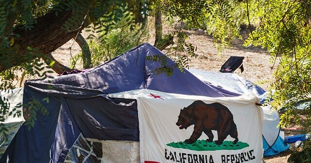 watching-junkies-free-base-drugs-in-san-diego:-marlow-describes-easter-in-democrat-run-city