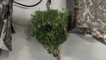 creepy-secret-spy-cameras-are-found-hidden-outside-california-homes-—-as-terrifying-warning-issued