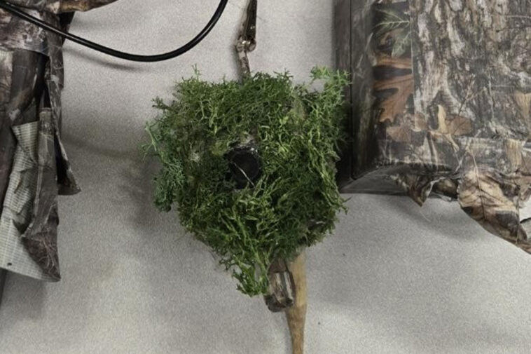 creepy-secret-spy-cameras-are-found-hidden-outside-california-homes-—-as-terrifying-warning-issued