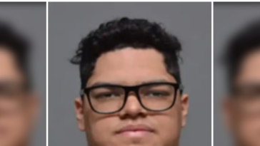 ice-pleads-with-sanctuary-new-york-to-keep-locked-up-illegal-alien-accused-of-attempted-murder-on-gilgo-beach