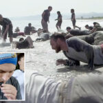 tech-workers-ate-dead-tarantulas,-crawled-through-ants-in-corporate-retreat-from-hell