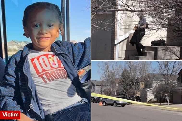 chilling-reason-11-year-old-boy-likely-faces-first-degree-murder-in-death-of-5-year-old-brother:-legal-expert