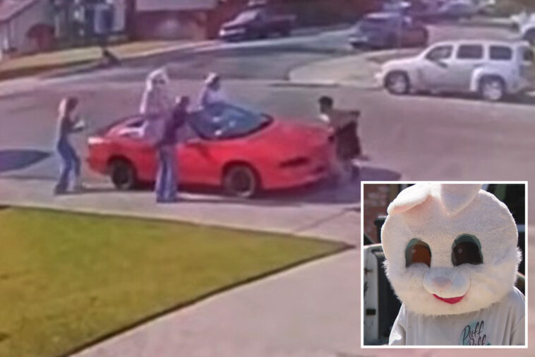 bizarre-moment-woman-dressed-as-an-easter-bunny-steps-in-during-wild-gunfight