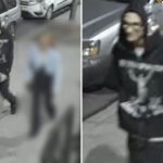 rogue-nyc-driver-on-lam-after-ramming-cop-cars,-striking-officer:-nypd