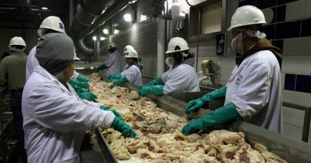 trump’s-migration-rules-force-wage-gains-in-meatpacking