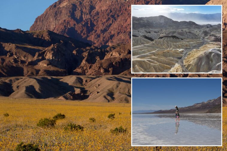 california’s-desert-giant-ranked-top-destination-in-the-us-—-another-state-park-cracks-top-10