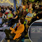 hollywood-studio-shuts-down-boston-diy-movie-theater-after-animated-film-screening