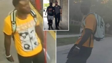 haitian-illegal-immigrant-bludgeons-mother-of-two-to-death-with-hammer-outside-florida-gas-station-in-broad-daylight