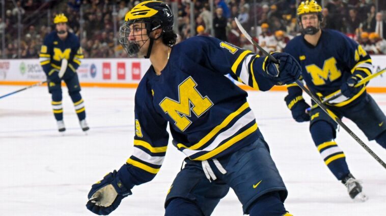 ‘don’t-move-on,-just-move-forward’:-how-hockey-helped-michigan’s-michael-hage-overcome-tragedy