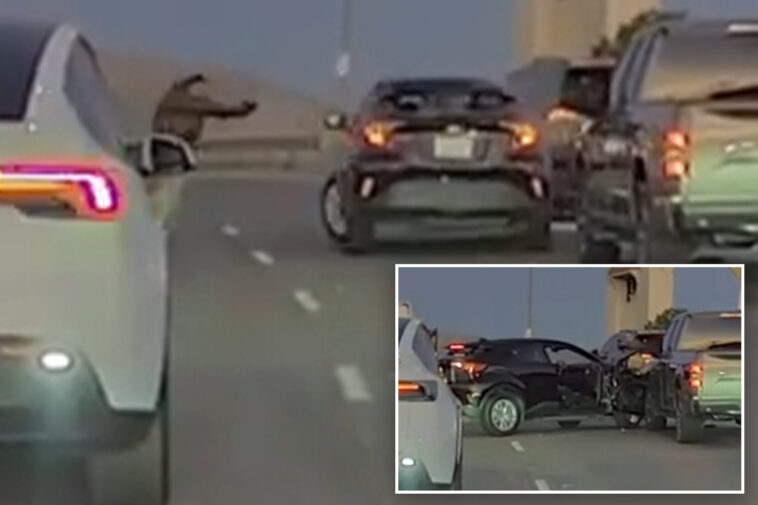 dramatic-dashcam-footage-captures-moment-alleged-gang-member-wildly-drives-into-oncoming-traffic-during-ice-shooting