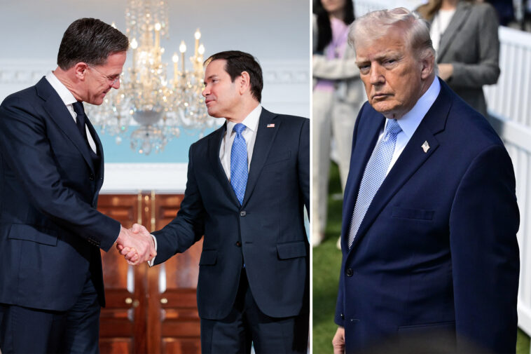 trump-mulls-punishing-nato-countries-that-didn’t-assist-iran-war-effort:-report