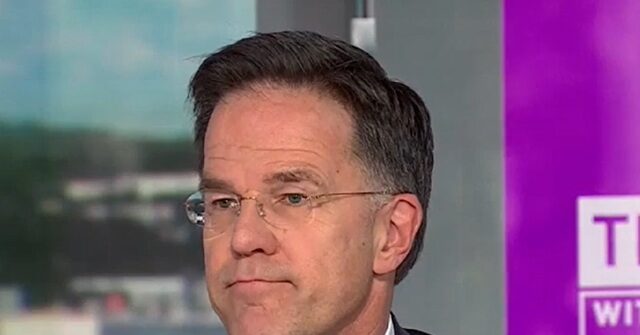 nato-sec’y-general:-‘some’-in-nato-failed-during-iran-war,-‘large-majority’-of-europe-didn’t