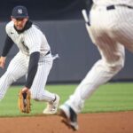 yankees’-ryan-mcmahon-passes-fielding-test-in-first-game-at-shortstop-as-plate-woes-continue