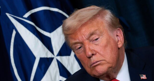 trump-considering-‘punishing’-disloyal-nato-allies-with-troop-reductions:-report
