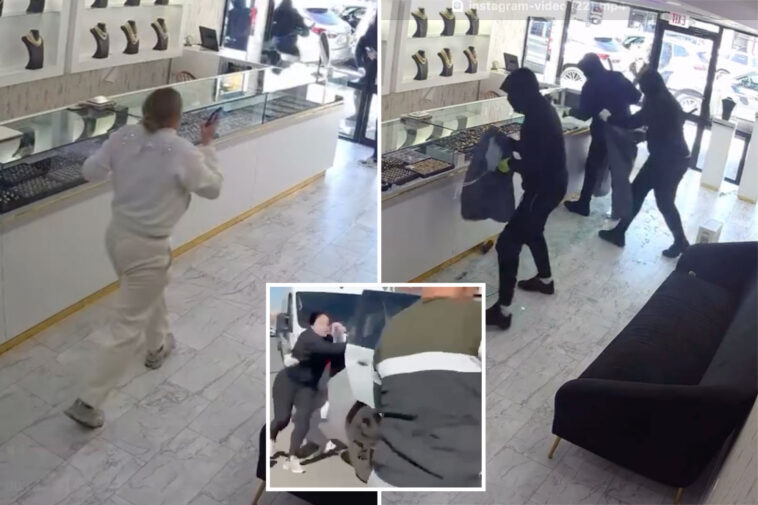 fearless-nj-mom-and-daughter-cling-to-jewelry-thief-as-crew-of-bandits-speeds-away:-video
