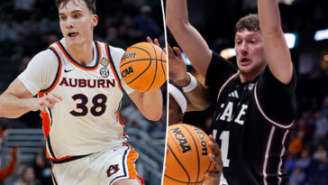 mick-cronin-replenishes-frontcourt-with-filip-jovic-and-sergej-macura