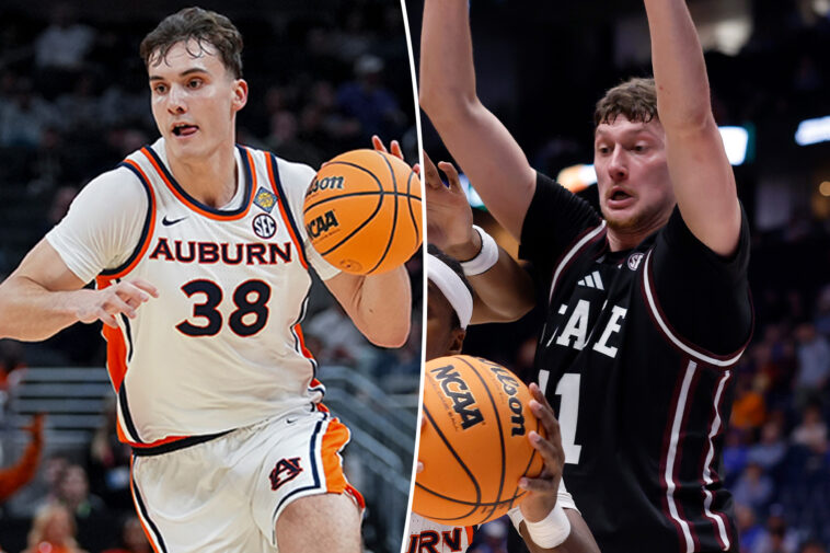 mick-cronin-replenishes-frontcourt-with-filip-jovic-and-sergej-macura