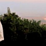 north-korea-says-it-just-tested-cluster-bomb-warheads-for-ballistic-missiles-and-an-electromagnetic-weapon