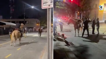horrifying-video-shows-horse-being-smashed-by-car-and-launched-into-the-air-after-cruel-stunt-epically-fails