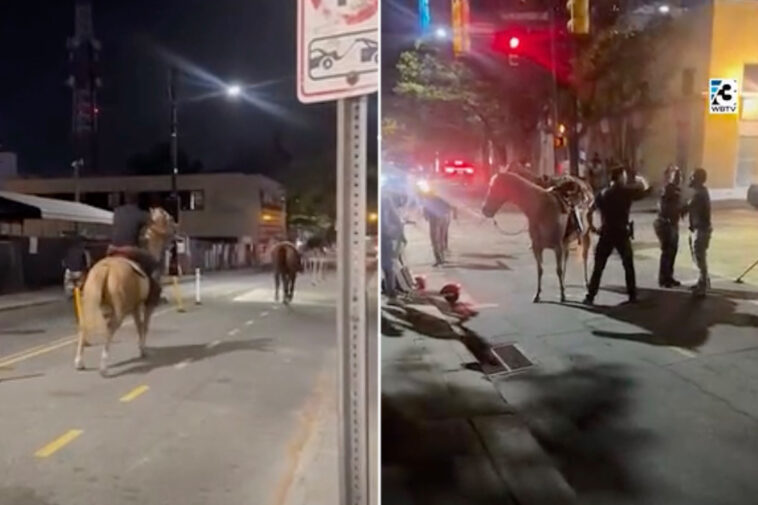 horrifying-video-shows-horse-being-smashed-by-car-and-launched-into-the-air-after-cruel-stunt-epically-fails