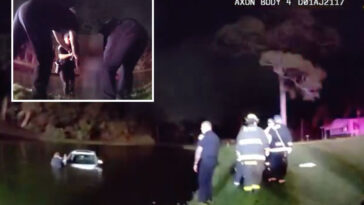 florida-police-rescue-elderly-couple-after-car-slides-into-pond-following-heavy-downpours