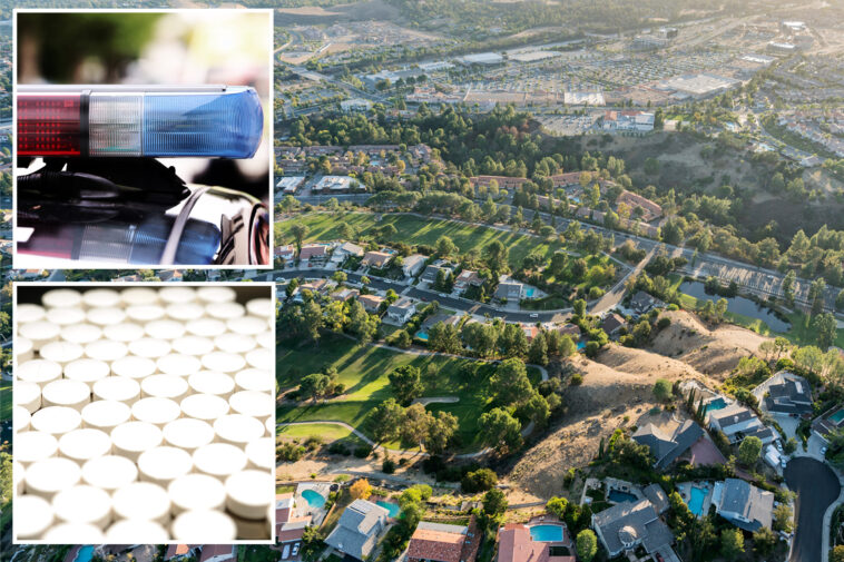 los-angeles-toddler-found-dead-as-dad-says-he’s-worried-he-got-‘into-his-fentanyl’