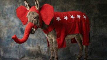 ‘political-transgenderism’-enters-the-chat-after-secret-democrat-tried-to-hoodwink-voters